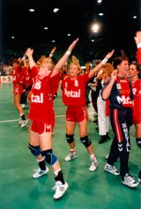 1996 EM vinder